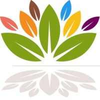 Safe Connections Logo