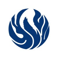 USHEALTH Advisors Logo