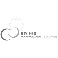 Brinie Management & Advies Logo