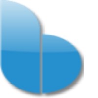 Bonaventure Systems Logo