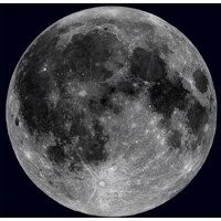 The Moon Society Logo