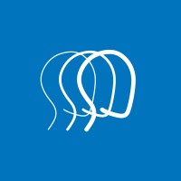 Brain Injury Association of Michigan Logo