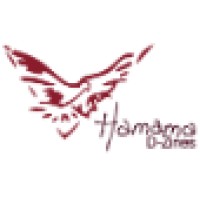 Hamama D-Zines Logo