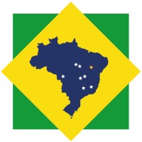 Brazilian Nickel Logo