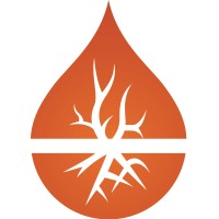 Mobile Data Technologies Logo