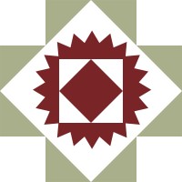 Southwest Health System Logo