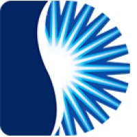 Dynamic Budgets Logo