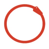 Langsford Crimson Logo