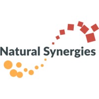 Natural Synergies, Inc. Logo