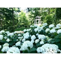 Gramercy Mansion Logo