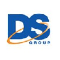 Diverse Systems Group Logo