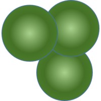 TRIFOLIUM LTD Logo
