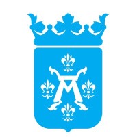 Turun kaupunki - Åbo stad - City of Turku Logo
