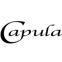 Capula Investment Management LLP Logo