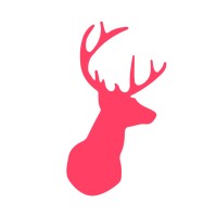 Big Eye Deers Ltd. Logo
