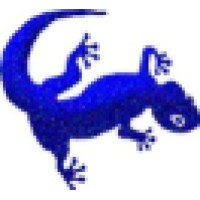 Blue Lizard Ltd Logo