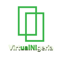 Virtual Nigeria Logo