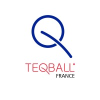 Teqball France Logo