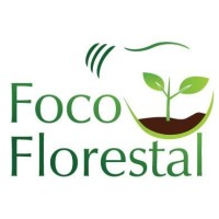 Foco Florestal Logo