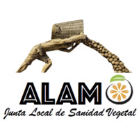 JLSV Logo