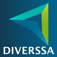 Diverssa Creating Solutions Logo