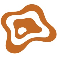 Pathfinders Ltd Logo