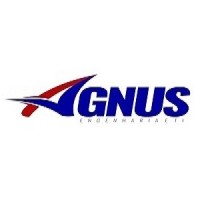 Agnus Engenharia & TI Logo