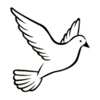 DOVECOR cc Logo