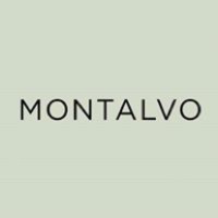 Agencia Montalvo Logo