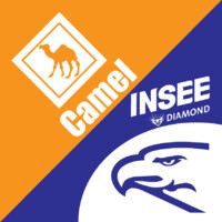 INSEE & Camel Cement Logo