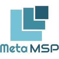MetaMSP LLC Logo