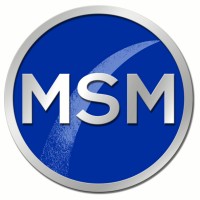 MSM Group Logo