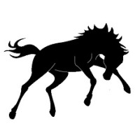 Bronco Environmental, Ltd. Logo