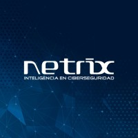 Netrix Logo