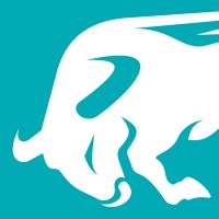 Fi911 Logo