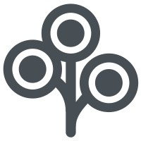 ZoLi Inc. Logo