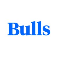 Bulls Logo