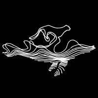 Whale & Jaguar Logo