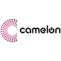 Camelon ICT Solutions Logo