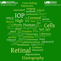 University of Alabama at Birmingham - School of Optometry Vision Science Graduate Program Logo