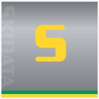 SKIDATA BRASIL Logo