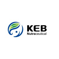 KEB Logo
