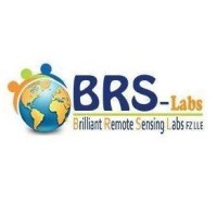 Brilliant Remote Sensing Labs | BRS-Labs Logo