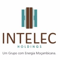 Intelec Holdings Logo