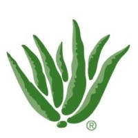 Aloe Up Sun and Skin Care Products Logo