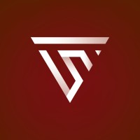 Vieira e Serra Advogados Logo