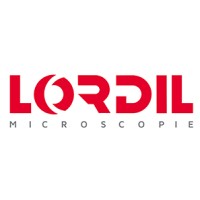 Lordil Logo