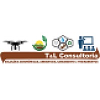T&L Consultoria Logo