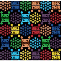 BINZ CONSTRUCTION Logo