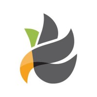 Harpia Consultoria e Prevenção à Fraude Logo